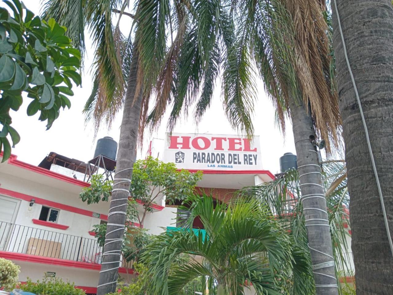 Hotel Parador Del Rey テミスコ エクステリア 写真